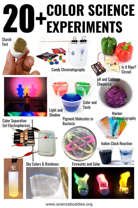 science buddies org|science experiments for kids.